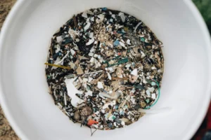 microplastics health risks