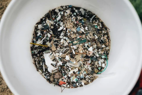 Microplastics Health Risks: What Science Knows, What It Does Not, and What Is Unknown