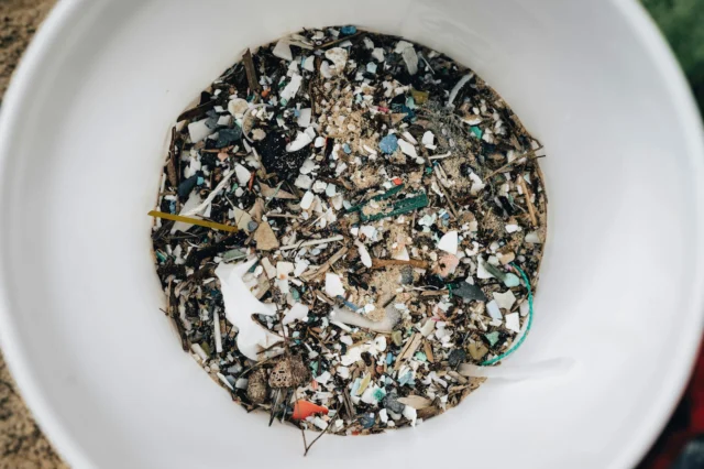 microplastics health risks