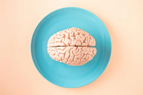 You Didn’t Choose to Read This. The Case Against Free Will.