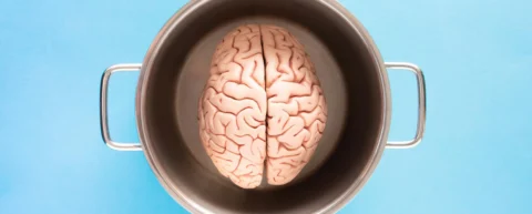 Brain scan showing placebo effect neurochemical activity in neural pathways