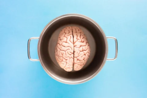 L&rsquo;effet placébo n&rsquo;est pas imaginaire. Votre cerveau possède simplement une pharmacie dont vous ignoriez l&rsquo;existence.