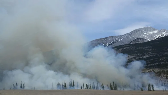 Massive wildfire spread dynamics visible in towering convection plume over burning forest