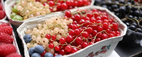 superfoods