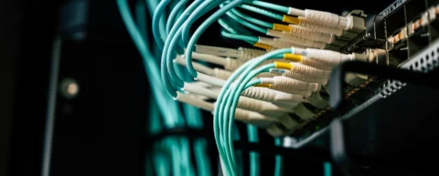 teoría internet muerto