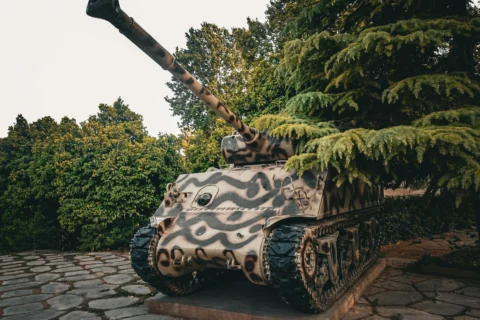 Les Gardiens de la Révolution iranienne : la force au cœur de cette guerre