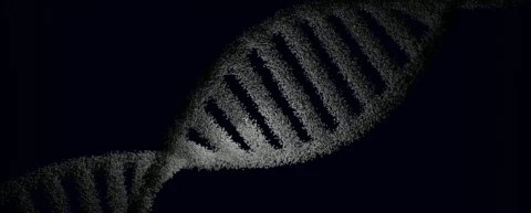 Cellular aging science diagram showing 12 pathways of molecular damage