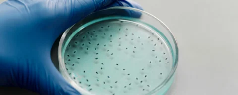 Scientific illustration of gut microbiome science research showing bacterial diversity