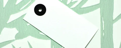 Gender categories debate with colorful identity labels and taxonomy illustration