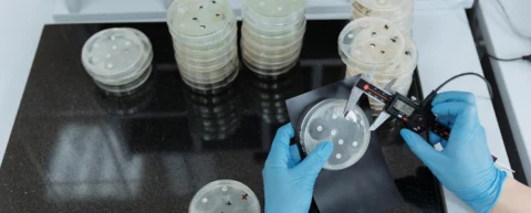 Antibiotic resistance evolution showing bacterial mutations and gene transfer mechanisms