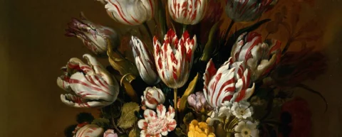 Historical painting depicting tulip mania myth and Dutch Golden Age flower trade