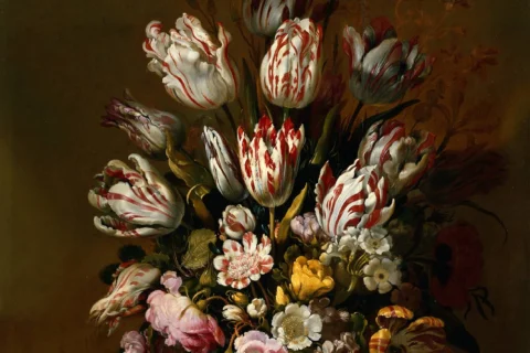 Le mythe de la tulipomanie : 5 mensonges choquants derrière l’histoire célèbre de la bulle financière