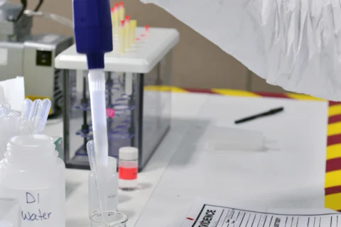 Die forensische Grenze der DNA-Phänotypisierung: Warum wir Gesichter noch nicht rekonstruieren können