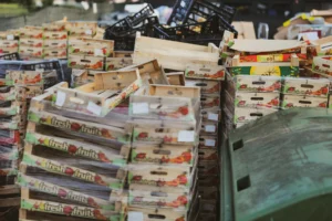 Illustration of global food waste in agricultural supply chains