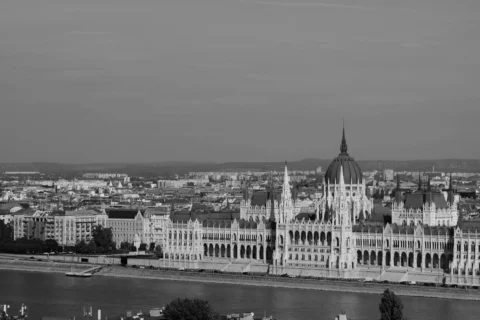 Élections fascistes de l&rsquo;entre-deux-guerres : l&rsquo;effondrement démocratique meurtrier de 1933