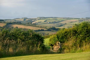 English countryside showing hedgerow-enclosed fields from the English enclosure movement