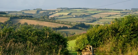 English countryside showing hedgerow-enclosed fields from the English enclosure movement