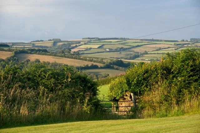 English countryside showing hedgerow-enclosed fields from the English enclosure movement