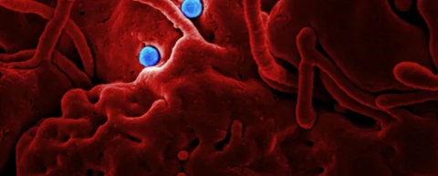 Microscopic view illustrating epidemic ending mechanisms as viral particles diminish