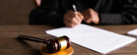 Legal documents representing patent system innovation disputes