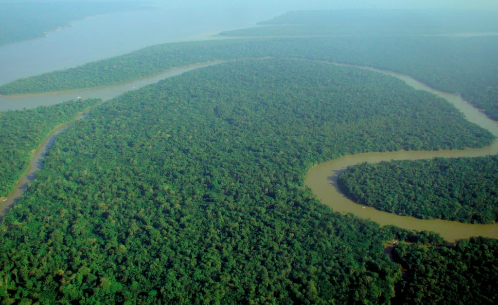 Aerial view of Amazon rainforest, the site of the first debt-for-nature swap in 1987