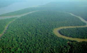 Aerial view of Amazon rainforest, the site of the first debt-for-nature swap in 1987