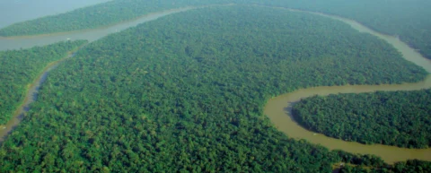 Aerial view of Amazon rainforest, the site of the first debt-for-nature swap in 1987