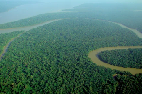Debt-for-Nature Swaps: Four Decades of Brutal Colonial Control