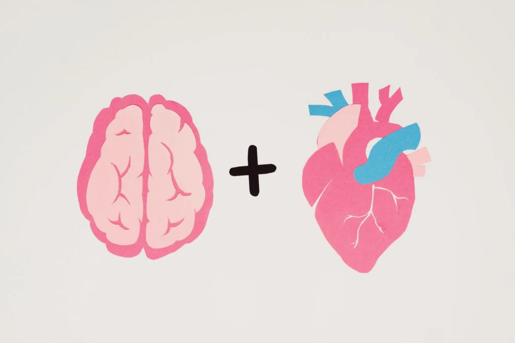 Neural connections illustrating emotion regulation neuroscience in the prefrontal cortex