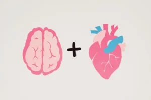 Neural connections illustrating emotion regulation neuroscience in the prefrontal cortex