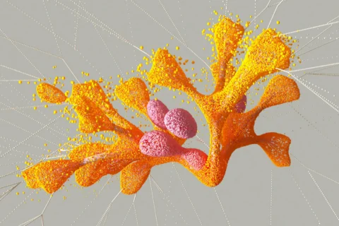 La neuroscience du conditionnement de la peur : comment votre cerveau apprend à avoir peur