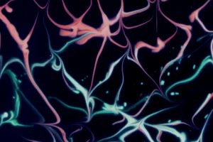Visualization of selective attention neural pathways in the human brain