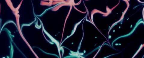 Visualization of selective attention neural pathways in the human brain