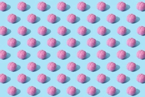 Dopamine Reward Myth: Wanting, Not Liking