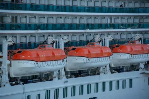 L’épidémie de hantavirus à bord d’un navire de croisière révèle les lacunes de la préparation mondiale aux pandémies