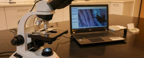Forensic data recovery specialist examining digital evidence in laboratory