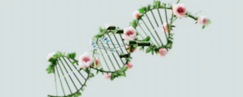 Laboratory visualization of synthetic biology and DNA engineering