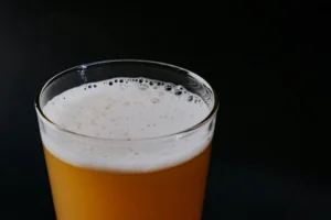 Microscopic view of fermentation biochemistry showing yeast cells producing bubbles