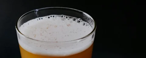 Microscopic view of fermentation biochemistry showing yeast cells producing bubbles