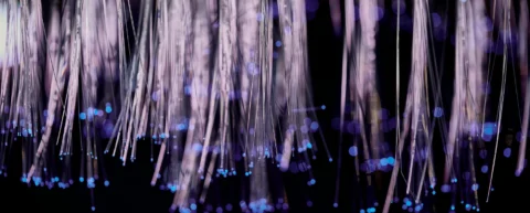 Fiber optic cables transmitting light through total internal reflection