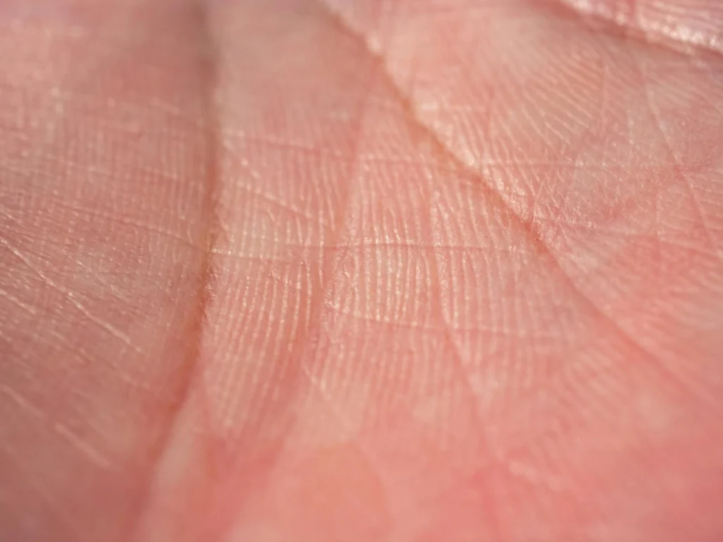 Close-up of fingerprint minutiae matching patterns showing ridge detail