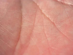 Close-up of fingerprint minutiae matching patterns showing ridge detail