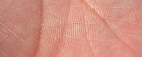Close-up of fingerprint minutiae matching patterns showing ridge detail
