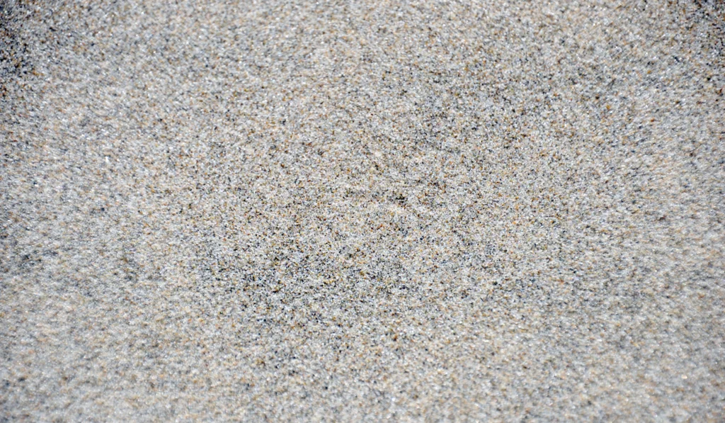 Oregon sand dunes where Frank Herbert researched water scarcity geopolitics for Dune
