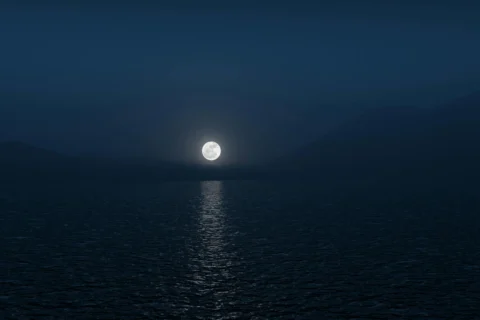 The Physics of Tides: How the Moon Shapes the Oceans