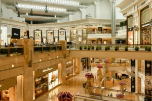 Status anxiety drives modern luxury consumption and wealth signaling behaviors