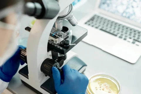 Gut Microbiome Probiotics: Why Colonization Limits Results