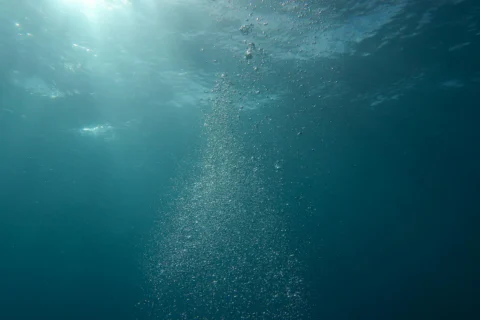 How Sonar Works: The Physics of Underwater Sound Propagation