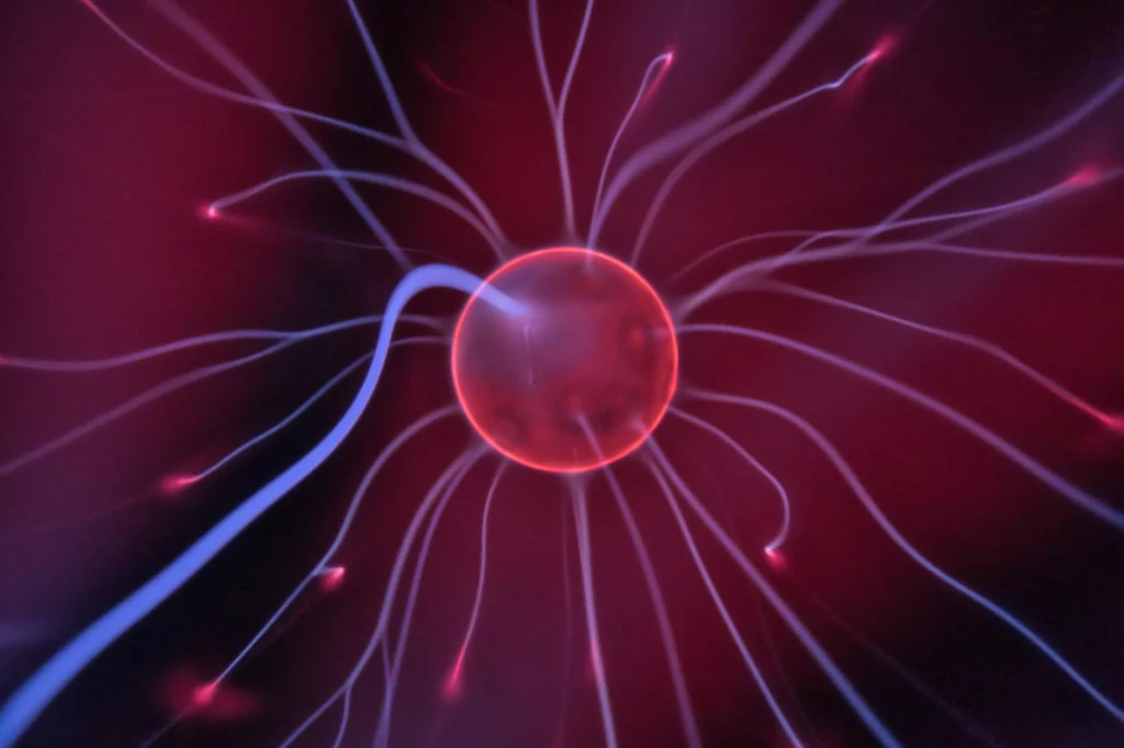 Neural connections representing flow state neuroscience during peak cognitive performance