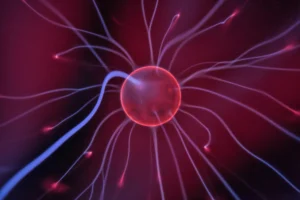 Neural connections representing flow state neuroscience during peak cognitive performance